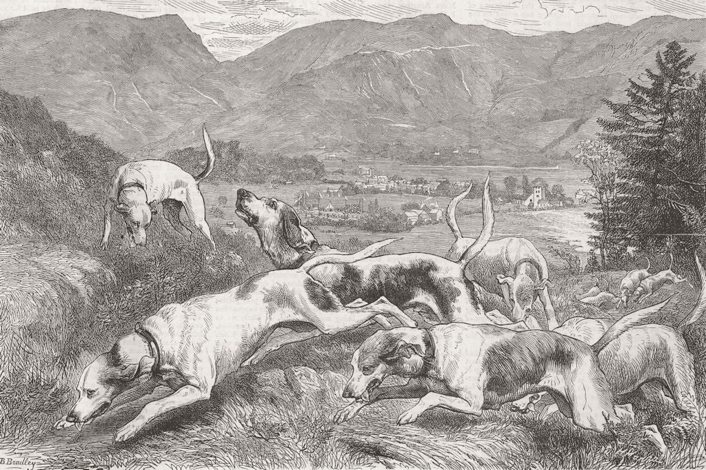 WESTMORELAND. Sports-Hound Trail Race, Grasmere 1876 old antique print picture